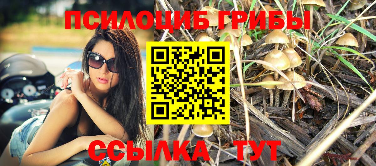 Галлюциногенные грибы Psilocybine cubensis  наркошоп  Борзя  Вход с VPN 