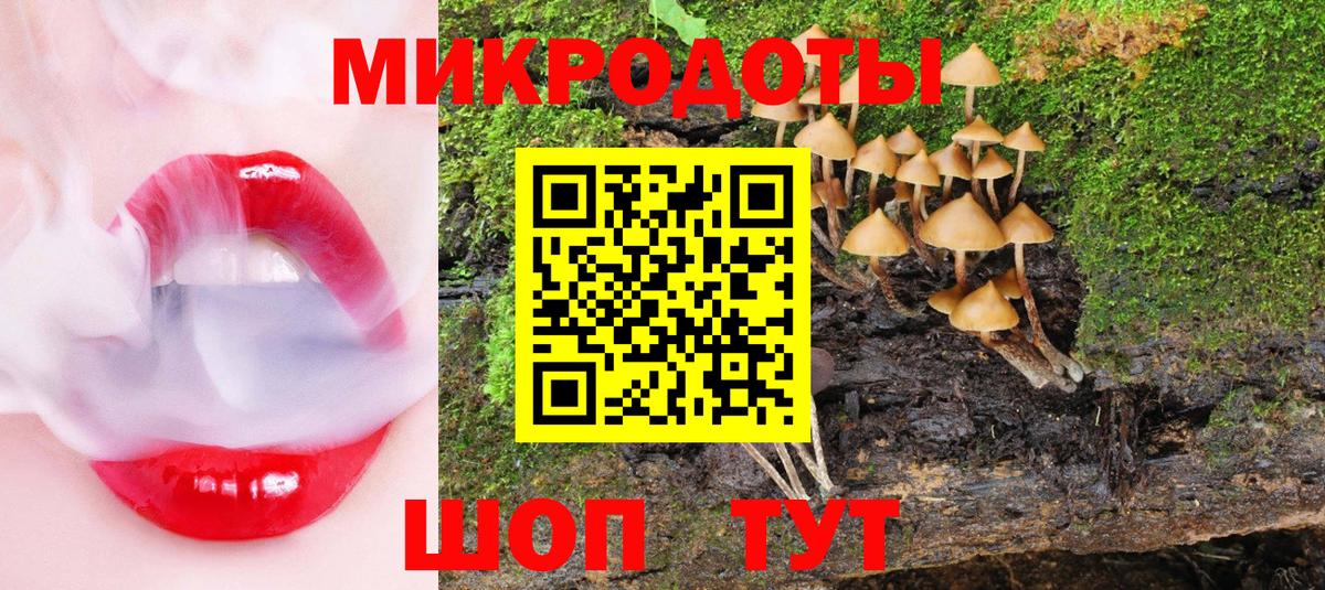 Псилоцибиновые грибы прущие грибы Борзя